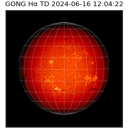 gong - 2024-06-16T12:04:22