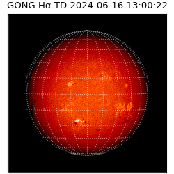 gong - 2024-06-16T13:00:22