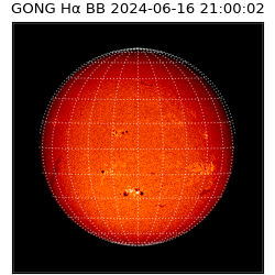 gong - 2024-06-16T21:00:02