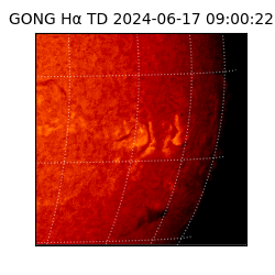 gong - 2024-06-17T09:00:22