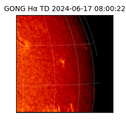 gong - 2024-06-17T08:00:22