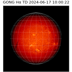 gong - 2024-06-17T10:00:22