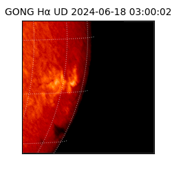 gong - 2024-06-18T03:00:02