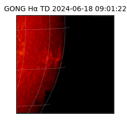 gong - 2024-06-18T09:01:22