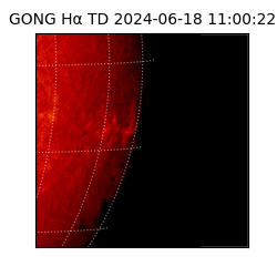 gong - 2024-06-18T11:00:22