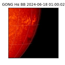 gong - 2024-06-18T01:00:02