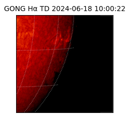 gong - 2024-06-18T10:00:22