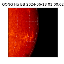 gong - 2024-06-18T01:00:02