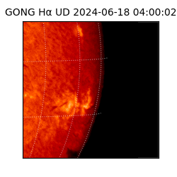 gong - 2024-06-18T04:00:02