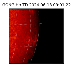 gong - 2024-06-18T09:01:22