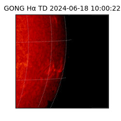 gong - 2024-06-18T10:00:22