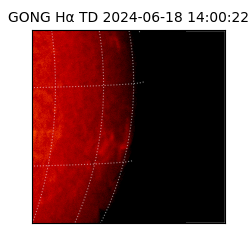 gong - 2024-06-18T14:00:22