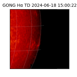 gong - 2024-06-18T15:00:22