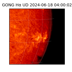 gong - 2024-06-18T04:00:02