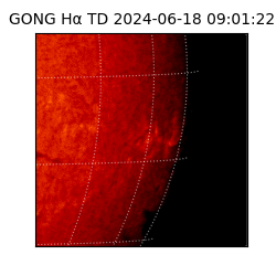 gong - 2024-06-18T09:01:22