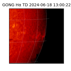 gong - 2024-06-18T13:00:22