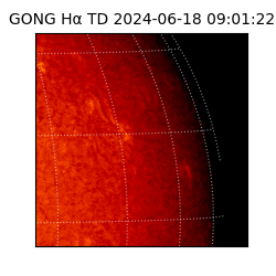 gong - 2024-06-18T09:01:22