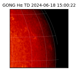 gong - 2024-06-18T15:00:22