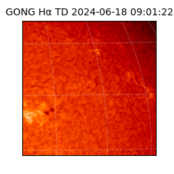 gong - 2024-06-18T09:01:22