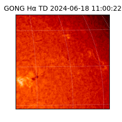 gong - 2024-06-18T11:00:22