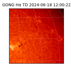 gong - 2024-06-18T12:00:22