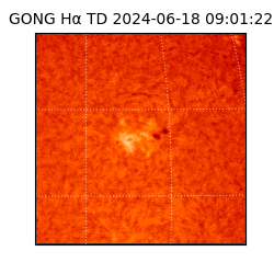 gong - 2024-06-18T09:01:22