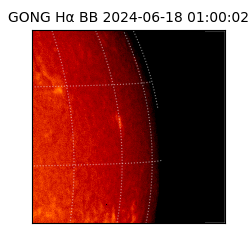 gong - 2024-06-18T01:00:02