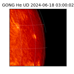 gong - 2024-06-18T03:00:02