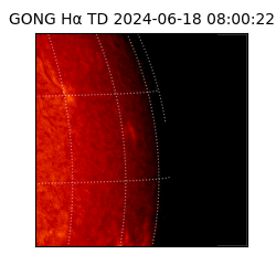 gong - 2024-06-18T08:00:22
