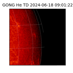 gong - 2024-06-18T09:01:22