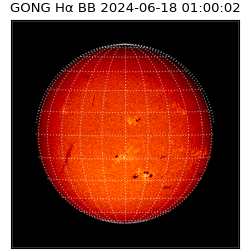 gong - 2024-06-18T01:00:02