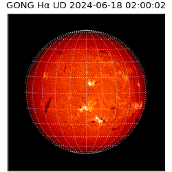 gong - 2024-06-18T02:00:02