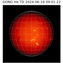 gong - 2024-06-18T09:01:22