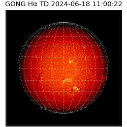 gong - 2024-06-18T11:00:22