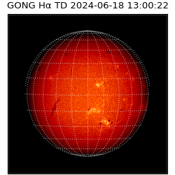 gong - 2024-06-18T13:00:22