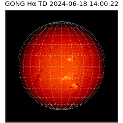 gong - 2024-06-18T14:00:22