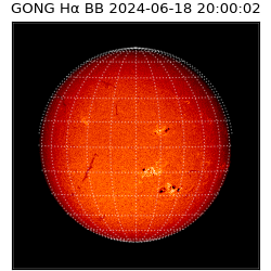 gong - 2024-06-18T20:00:02