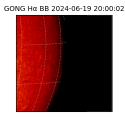 gong - 2024-06-19T20:00:02