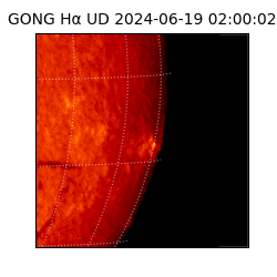 gong - 2024-06-19T02:00:02