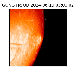 gong - 2024-06-19T03:00:02