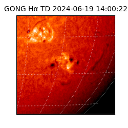 gong - 2024-06-19T14:00:22