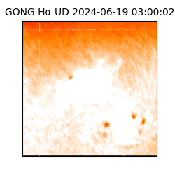 gong - 2024-06-19T03:00:02