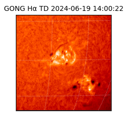 gong - 2024-06-19T14:00:22