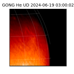 gong - 2024-06-19T03:00:02