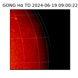 gong - 2024-06-19T09:00:22