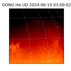 gong - 2024-06-19T03:00:02