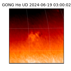 gong - 2024-06-19T03:00:02