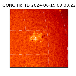 gong - 2024-06-19T09:00:22