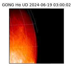 gong - 2024-06-19T03:00:02