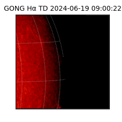 gong - 2024-06-19T09:00:22